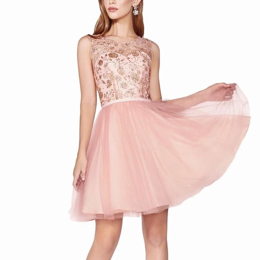 Cinderella Divine. CD20 dress